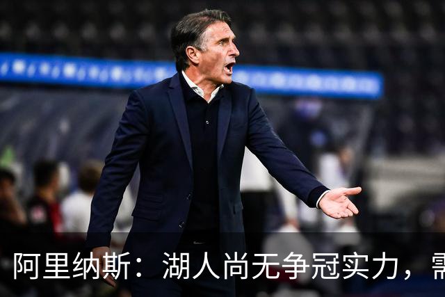 阿里纳斯：湖人尚无争冠实力，需微调而非大改
